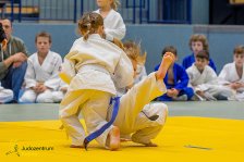 20.05.2023 Wachau JUDO Kids Cup